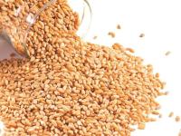 Wheat heads for ninth weekly loss despite US export boost