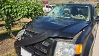Quebec man arrested for fatal B.C. hit-and-run