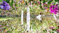Japan’s TeamLab Bringing Permanent Digital Art Exhibition Space to California