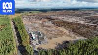 Anger after Google cuts 500 hectares of trees for data centres in Finland