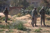Defence expert calls for special units to tackle zama zamas