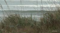 Surfers raise alarm about proposed log boom at Jordan River