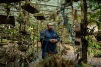 Botanists comb Gabon’s rainforests to catalog plants before they vanish