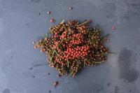 Prized wild pepper at risk as Madagascar’s forests shrink