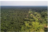 DR Congo’s vast ‘Green Corridor’ plan faces human rights and environmental concerns