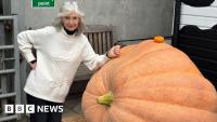 Farmer reveals recipe for scarily big pumpkins