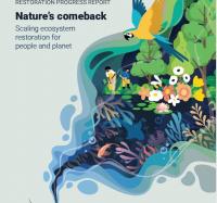 Global ecosystem restoration reaches 252 million hectares, creating over one million jobs