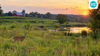 In Indiana, Lois Farris cared for family farmland; after her death at 99, her estate left a 400-acre farm for wildlife restoration