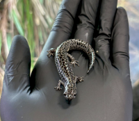 From a step to a leap: Redefining “take” puts America’s endangered frogs and salamanders on the brink