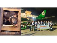 EVA Air Transports Eastern Bongo from the U.S. to Taiwan in Support of Wildlife Conservation
