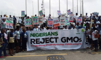 Coalition Urges Lagos Assembly To Ban GMOs, Cites Health And Environmental Risks