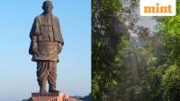 Artificial rain, waterfall, glass skywalk: Statue of Unity to develop  ₹12 crore rainforest to boost Gujarat tourism