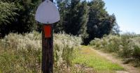 Voters could approve bonds, property tax to protect Marion County’s natural resources