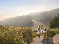 See Monterey gets down to business with expansion into new markets