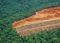 Group Urges FG To Strengthen Environmental Policies, Investment