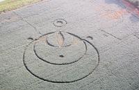 Crop circles remain a mystery for researchers and farmers 