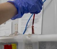 Polk County Mosquito Control Reduces Aedes aegypti by Up to 95% with Sterile Insect Farms™ Sterile Male Releases