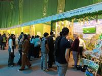 The Micro-Battlefields of COP17: Inside Armenia’s Fight for Tradition and Environmental Survival