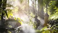 New Zealand promoted as the ultimate wellness retreat for American visitors