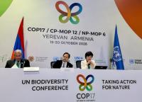 New Biodiversity Pledges Emerge at COP17, But Funding Gap Persists
