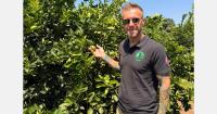 "Lime prices have reached an all-time high"
