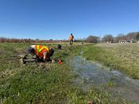 Mississippi Museum of Natural Science biologists discover four crayfish species new to state