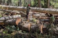 Montana's 13,000 Miles Of Trails Need Constant Maintenance