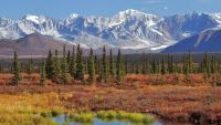 Fort St. John relaunches Alaska Highway News with 4,000 circulation