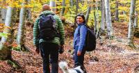 Healthy Living Fall 2026
