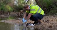 Andrews jet fuel leak continues to contaminate Maryland creek