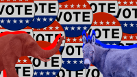 Virginia Midterms Candidate Guide