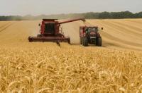 South Africa Farm Exports Hit $4.12bn Despite US Slump