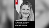 Head of Czech Embassy’s Jerusalem office killed after being struck by minibus