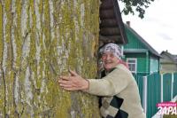 "Whoever drives through the village stops, takes photos." A Belarusian woman shared the history of a century-old tree on her homestead