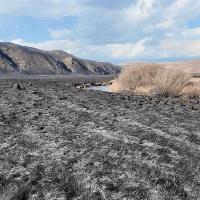 Fire Devastated a Mongolian Nature Reserve. Who’s to Blame?