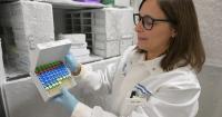 Scientists at Jackson Lab discover how pain pathways work in endometriosis