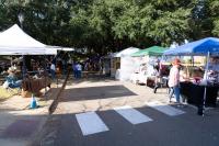 One art student's preparation for Under the Oaks Art Festival