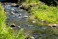 New study finds ‘forever chemicals’ in the lakes, rivers and streams of least 40 states