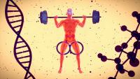Stem cells and beyond: Can science help our bodies heal better?