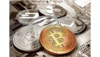 Pune Cryptocurrency Investment Fraud: Investors Cheated of Rs 14.71 Crore; Dubai-Based Mastermind Among 23 Accused