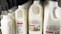 Reality TV show contestant said he drinks raw milk. Research shows that’s risky