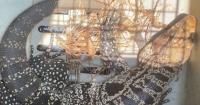 Tegu takeover: More giant, exotic lizards are being spotted in Georgia