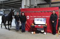 Ohio State ATI connects hands-on equine learning with racetrack success