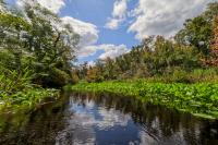 Explore Orlando’s backyard: 15 outdoor destinations to hike, camp and paddle this fall