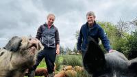 Joe McNamee: I dream of the good ol' days of the local farming co-op