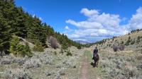 Forget Texas, This Montana Dude Ranch Is A Rustic Escape With Cowboy-Style Fun, Fishing, And Mountain Views