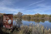 Public fish salvage begins at Sands Lake State Wildlife Area, Salida