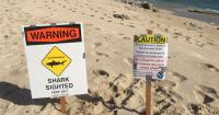 10/30/26 – HEALTH AND SAFETY RISKS FOR KONA COAST AFTER SPERM WHALE CARCASS TOWED FROM HONOKŌHAU HARBOR