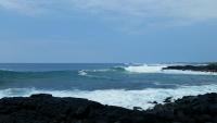 Sperm whale carcas drifting along Kona Coast could post health risks to beachgoers, boaters, fishers