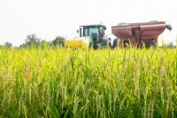 ‘LaPolitics’ Q&A: Energy and agriculture with the commissioner